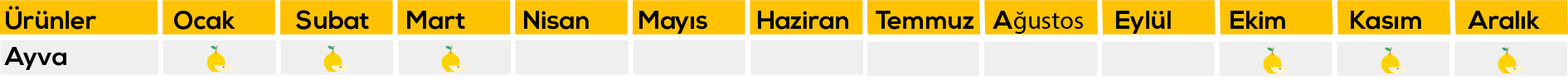 Erdönmez Gıda, Erdönmez Gıda Gürsu, Bursa Erdönmez Gıda, Erdönmez Soğuk hava tesisleri, Bursa Soğuk hava tesisleri, Bursa Elma, Bursa Armut, Bursa deveci armutu, Erdönmez Gıda, Bursa Erdönmez Gıda Soğuk Hava Tesisleri, Erdönmez Soğuk Hava Deposu, erdonmezgida.com