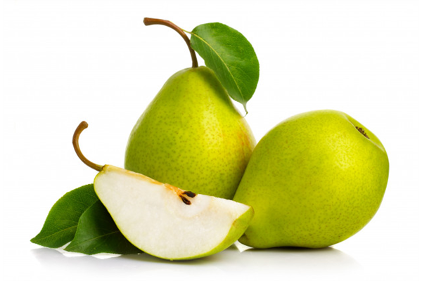 Pear (Santamaria),Erdönmez Soğuk hava tesisleri, Bursa Soğuk hava tesisleri, Bursa Elma, Bursa Armut, Bursa deveci armutu, Erdönmez Gıda, Bursa Erdönmez Gıda Soğuk Hava Tesisleri, Erdönmez Soğuk Hava Deposu, erdonmezgida.com