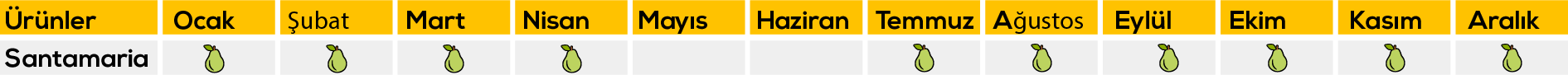 Erdönmez Gıda, Erdönmez Gıda Gürsu, Bursa Erdönmez Gıda, Erdönmez Soğuk hava tesisleri, Bursa Soğuk hava tesisleri, Bursa Elma, Bursa Armut, Bursa deveci armutu, Erdönmez Gıda, Bursa Erdönmez Gıda Soğuk Hava Tesisleri, Erdönmez Soğuk Hava Deposu, erdonmezgida.com